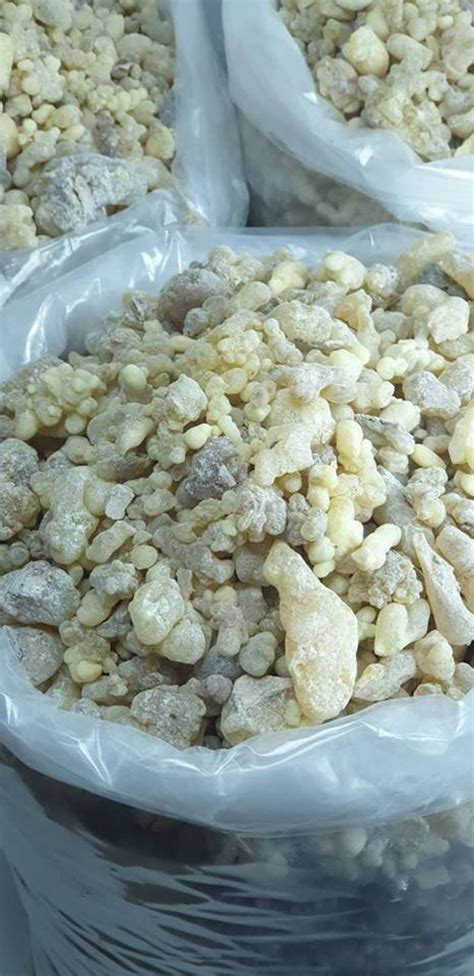 New Organic Frankincense Olibanum From Oman Resin Aromatic Natural