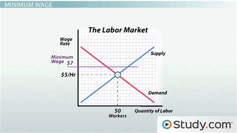 Effect of Minimum Wage on Unemployment | Graphs & Jobs - Lesson | Study.com