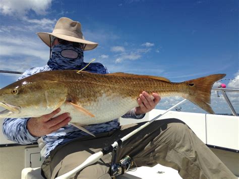 Trophy Red Drum Eastern Nc Fishing Guide