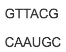 Exam 3 Ch 17 From Gene To Protein Flashcards Easy Notecards