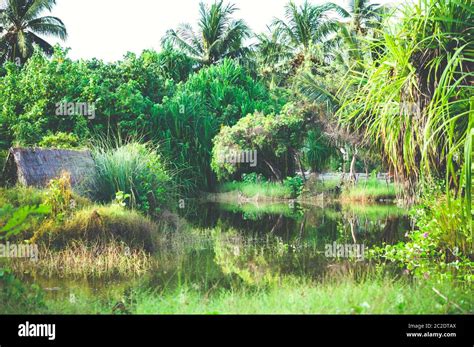 Maldives Fishing Hi Res Stock Photography And Images Alamy