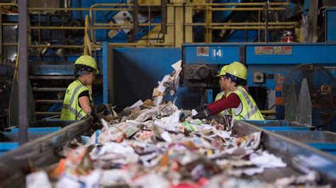 1st Paper Recycling Plant to Start Operations in Jordan's Mafraq | Al ...