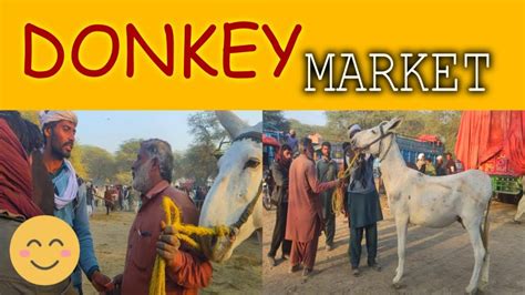 Biggest Donkey In Donkey Market Bhai De Do De Do Youtube