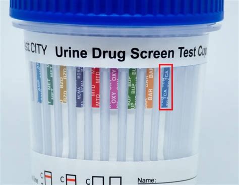 What Is Tca On A Drug Test Drug Test City