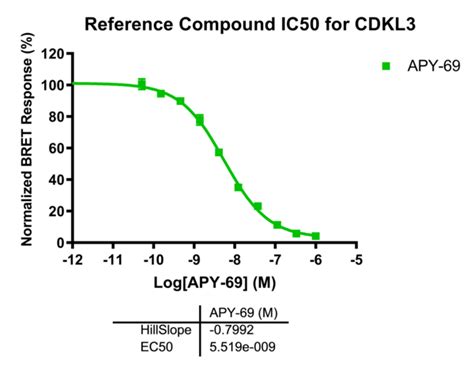 cdkl nanobret kinase assay reaction biology