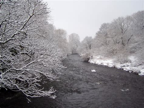 Free Images Tree Water Nature Branch Cold Mist Frost Stream