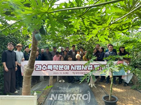 당진시 ‘새기술보급 시범사업 신청 접수 뉴스로