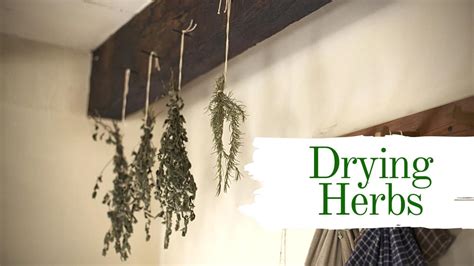 Drying Herbs at Home 🌿 Garden Gear Shop