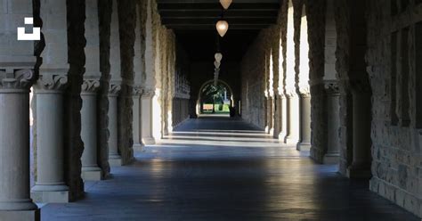 Pathway Photography Photo Free Stanford University Image On Unsplash
