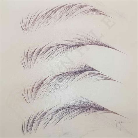 Pin by Minh Hải on môi mày Eyebrows sketch Microblading eyebrows