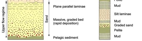 a, A Bouma sequence 17 (modified after Shanmugam 19 ). b, A turbidite ...