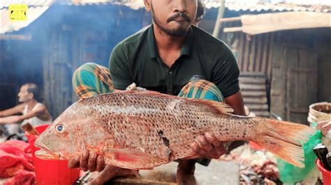 Incredible Giant Red Snapper Fish Cutting Skills With Huge Eggs Fish