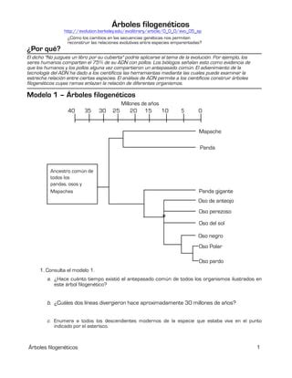 Rboles Filogen Ticos Gu A Para Tercero Medio Biolog A Pdf