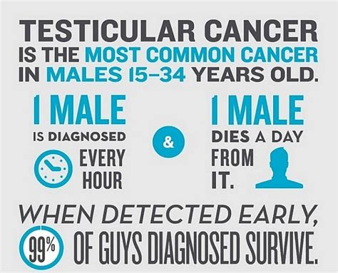 Testical Cancer Cancer Association Of Namibia Wo30