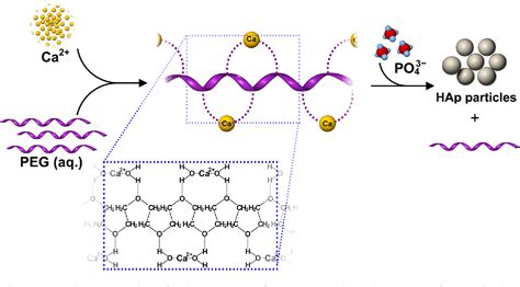 Figure 8 From Synthesis Methods For Nanosized Hydroxyapatite With Diverse Structures Semantic