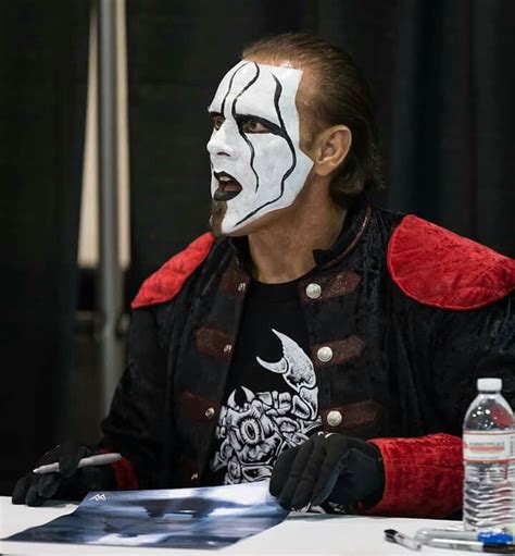 Pin By Melissa A Klein On Sting Professional Wrestler Wrestling