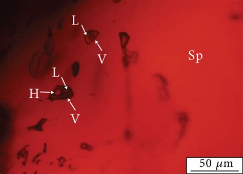 Photomicrographs Showing The Types And Characteristic Features Of Fluid