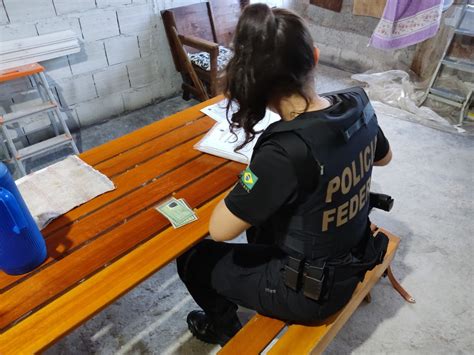 Pf Combate Abuso Sexual Infantil — Polícia Federal