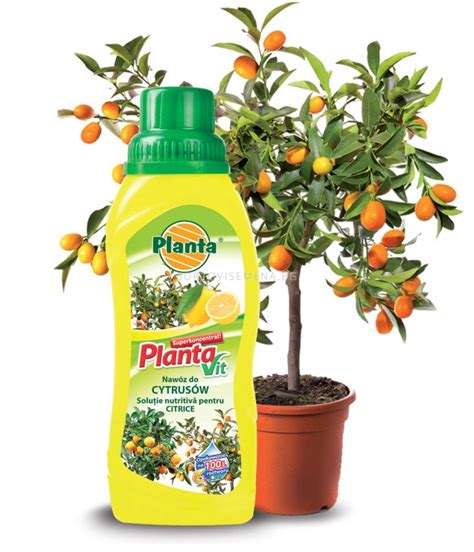 Торове Planta SortoviSemena.bg