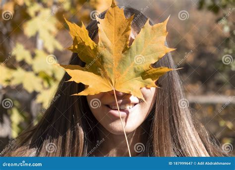 Girl Holding Autumn Orange Maple Leaf On The Background Colorful Autumn