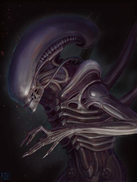 Classic Alien Xenomorph Fanart By Noel Hill Rlv426