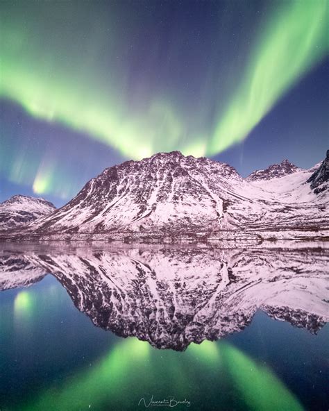 Un guide francophone pour voir les aurores boréales à Tromso iles