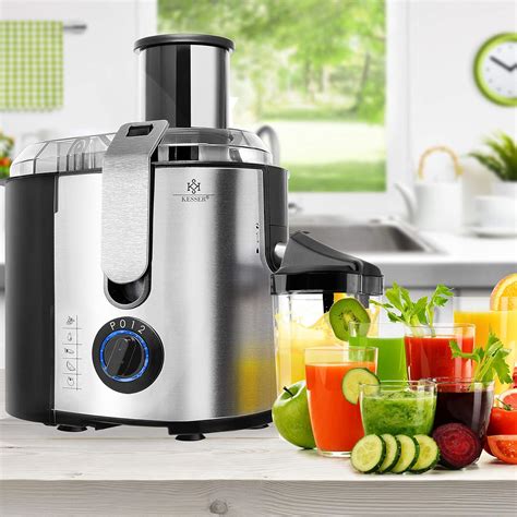 Extracteur De Jus Centrifugeuse En Inox Fruits Et L Gumes W