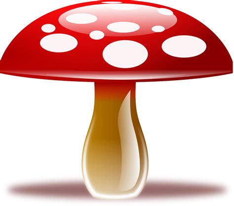 Mushroom clipart gnome, Mushroom gnome Transparent FREE for download on ...