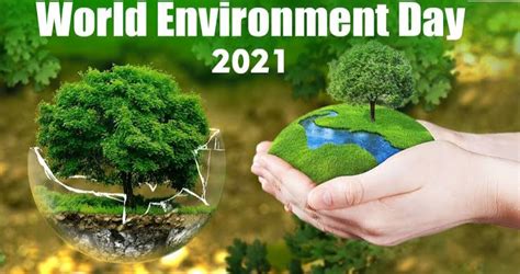 World Environment Day 2021 आज मनाया जा रहा विश्व पर्यावरण दिवस जानिए क्या है इसका इतिहास