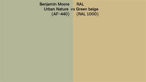 Benjamin Moore Urban Nature AF 440 Vs RAL Green Beige RAL 1000 Side