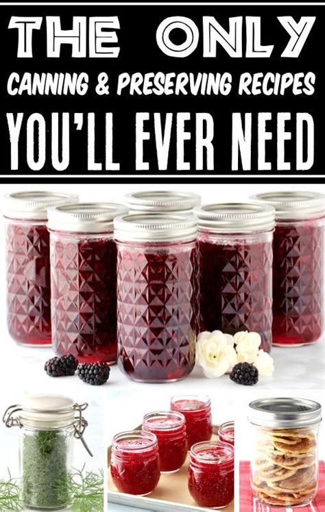 Canning And Preserving For Beginners Ultimate Guide To Get Started