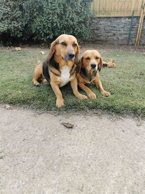 Derni Res Photos De Lili Et Hubert S P A Lorient