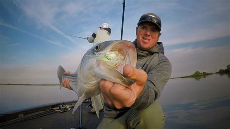 Fall Striper Fishing! — Tactical Bassin' - Bass Fishing Blog