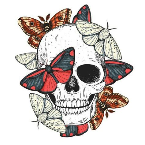 Pin By Julie Trottier On Skulls And Skeletons 2 Butterfly Illustration