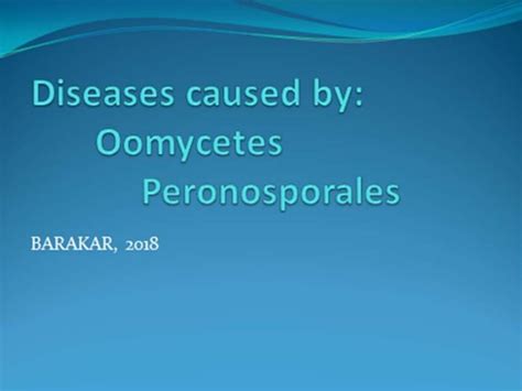 Diseases Caused By Downy Mildew Fungi PPT