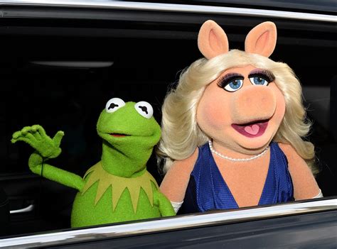 Rule Aeolus Anal Interspecies Kermit The Frog Miss Piggy Muppets