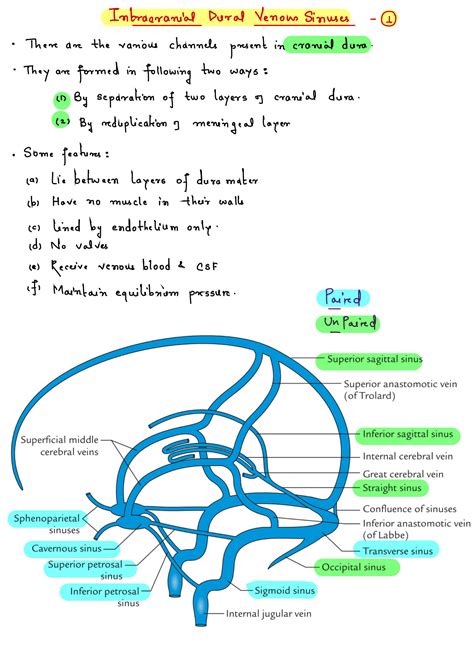 SOLUTION: Intracranial dural venous sinuses anatomy # Handwritten notes ...