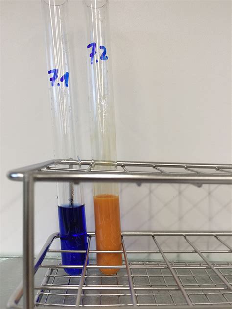 To Bee Or Not To Bee The Chemistry Of Honey Science In School