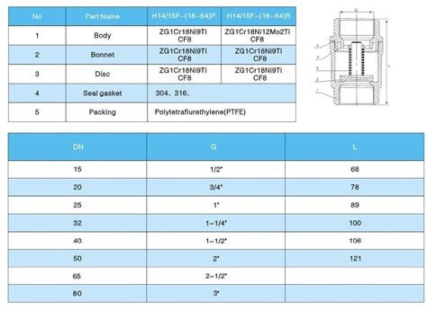 PASLANMAZ YAYLI DİK ÇEKVALF PN63 DİŞLİ Kural Paslanmaz