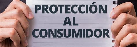 An Lisis De Los Principios De C Digo De Protecci N Y Defensa Del