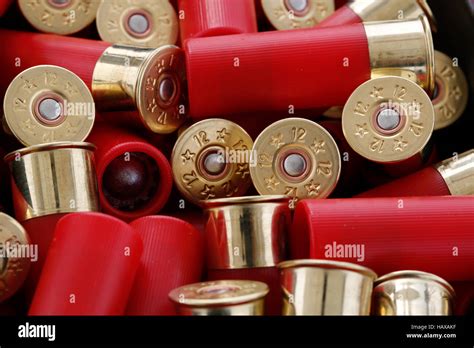 Shotgun Shell Wallpaper