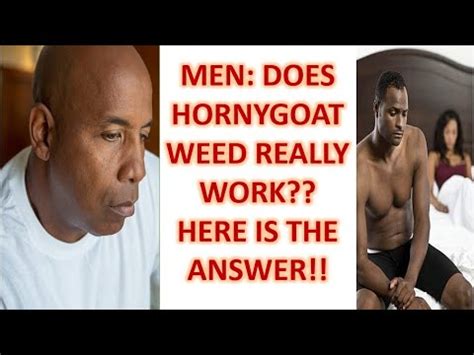 Men Does Horny Goat Weed Really Work To Treat Erectile Dysfunction