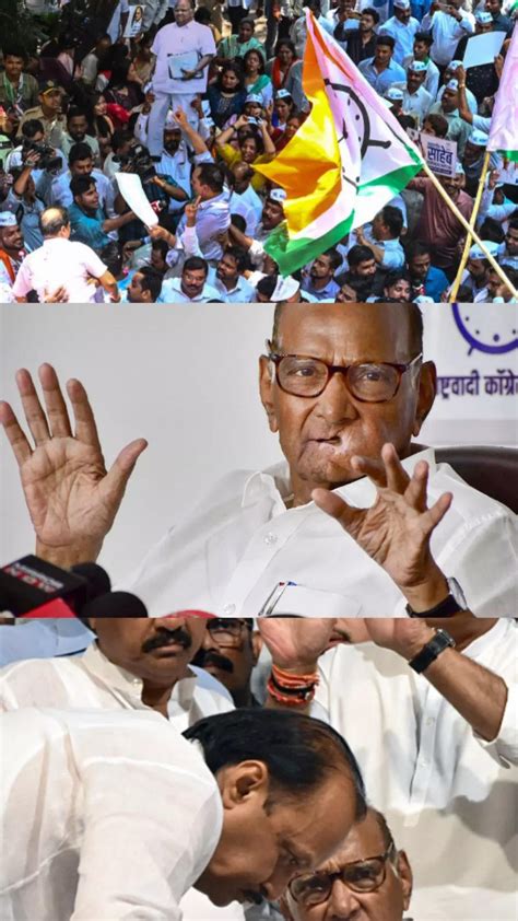 Ncp Chief Sharad Pawar Takes Back His Resignation