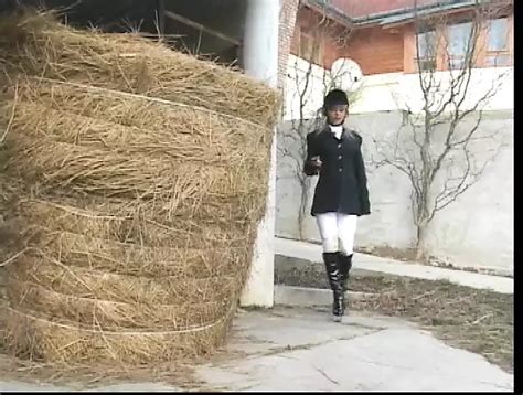 Dana V Porn Videos Porn Star Sex Scenes Xhamster