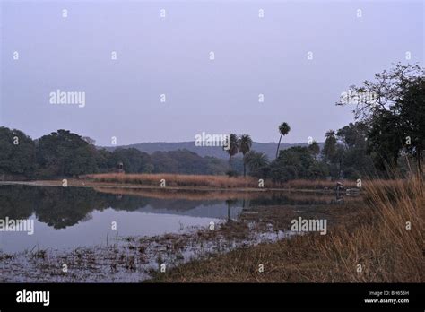 Rajbagh Lake In Ranthambhore National Park Stock Photo Alamy