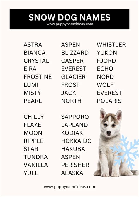 220+ Snow Dog Names - Puppy Name Ideas