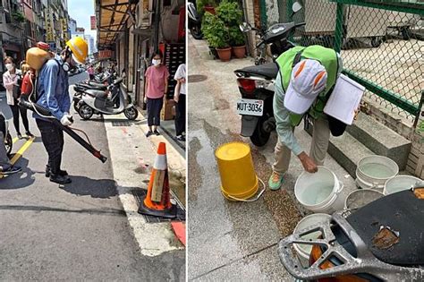 本土登革熱燒進台北市！3年來首例 10多歲男有台南活動史 壹蘋新聞網 Line Today