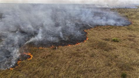 Los Incendios Forestales En Bolivia Paraguay Y Brasil Provocan Las Más