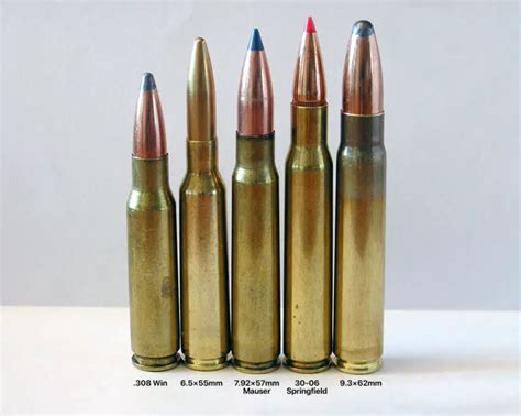 3030 Vs 308 Caliber Guide