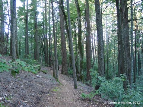 Skyline Trail in Sanborn County Park